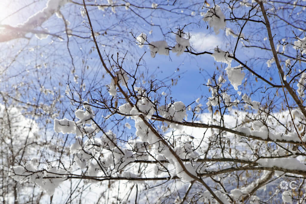IMG_0561_DxO